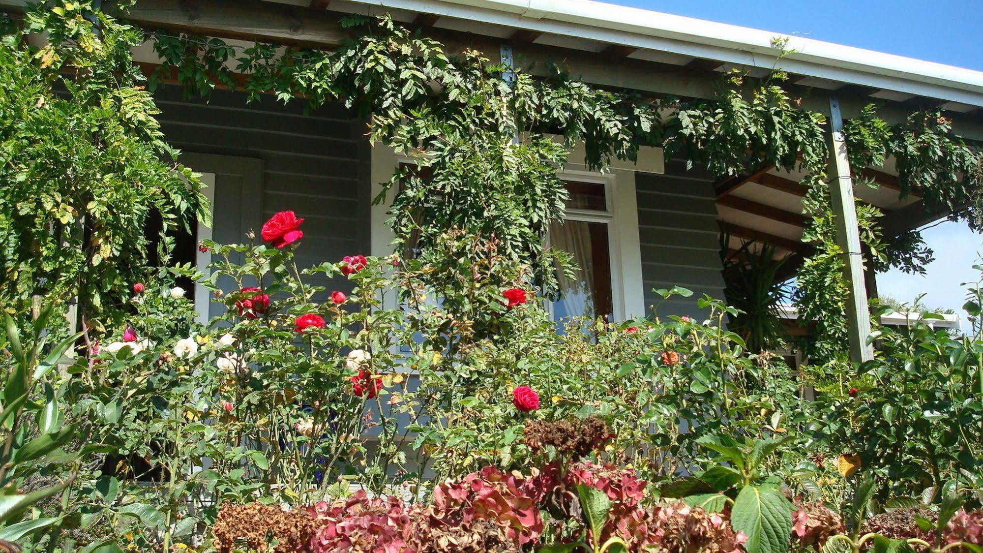 Renwick Olde Mill House B&B & Bike2Wine Cycle Hire المظهر الخارجي الصورة